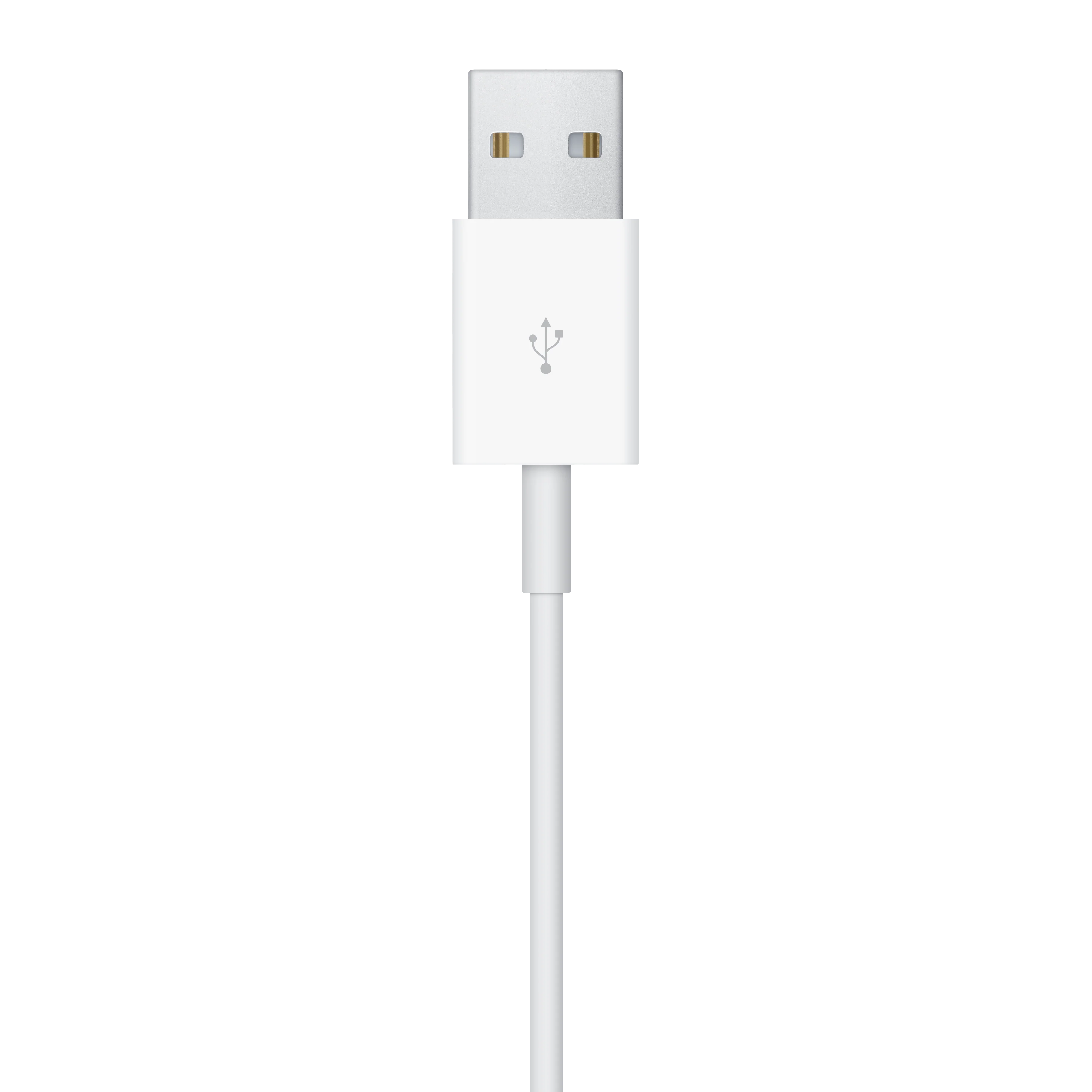 WATCH CHARGE CABLE USB-A (2 M)-AME - Image 4
