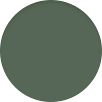 iPhone 13 Pro 256 GB Verde alpino - Image 11